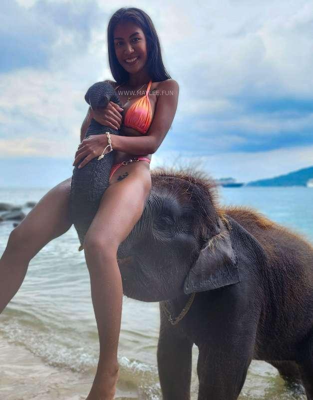 Ready for an elephant ride? 🐘😍