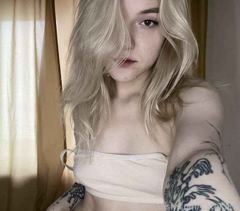catekate image #0