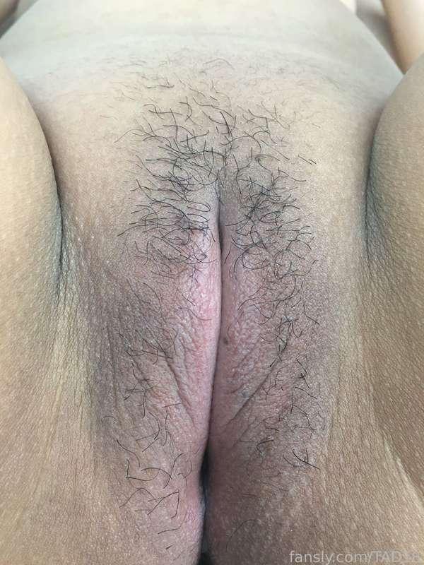 tad18 image #5