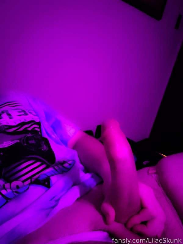 lilacskunk image #3