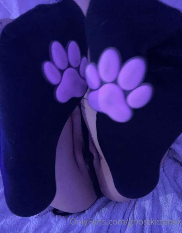 ghostkittenxx image #0