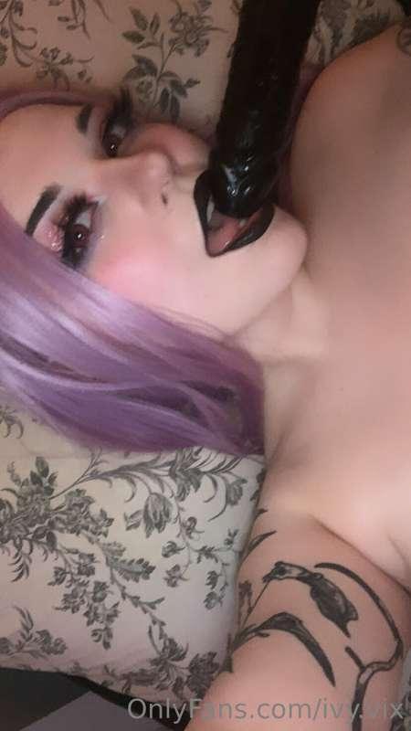 ivy.vix main image