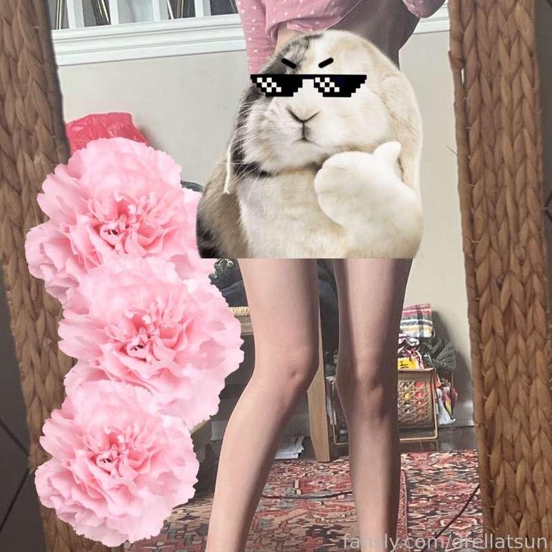 drellatsun image #1