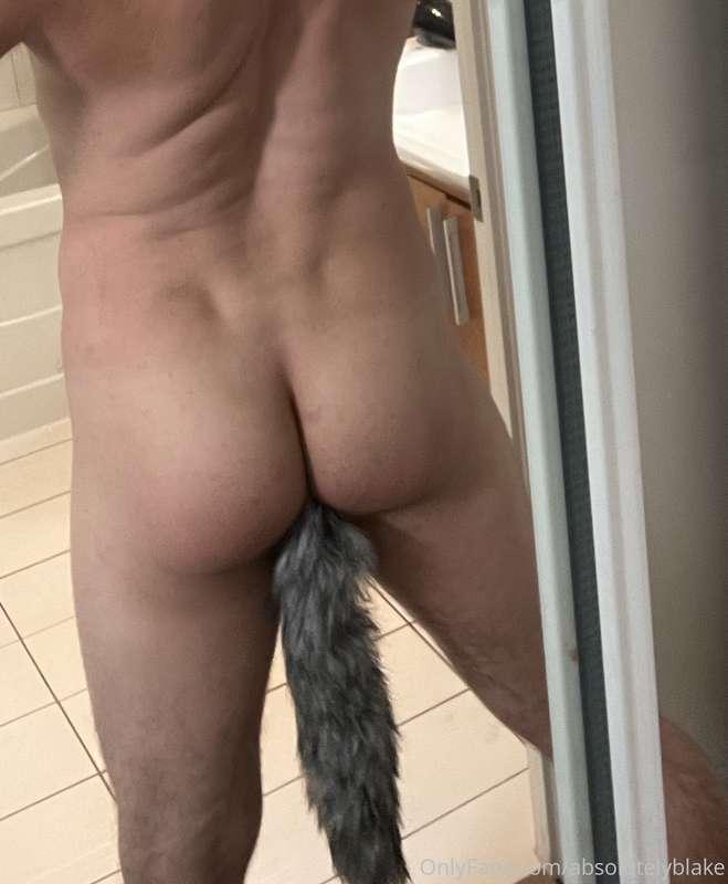 That fox tail butt plug from Adam and Eve 😂 I'm fucking dyin..