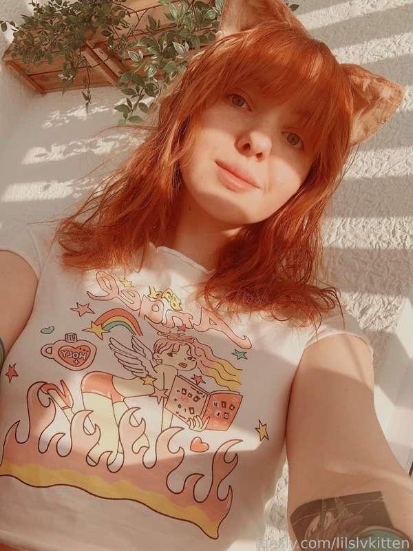 kitten in the sun ☀️ 