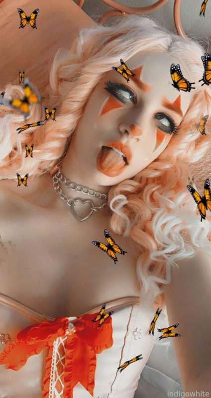 indigowhite image #77