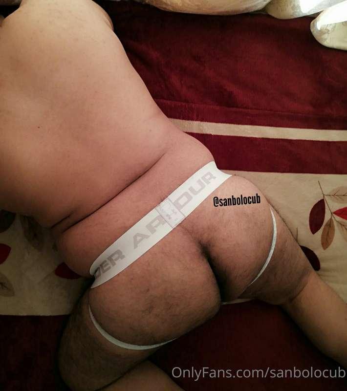 sanbolocub image #0