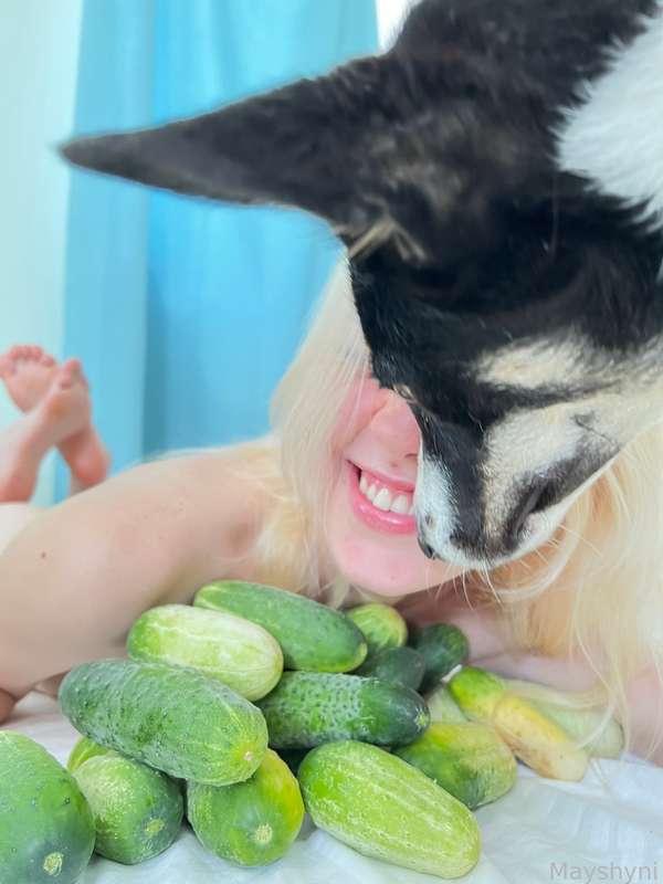 mayshyni image #1