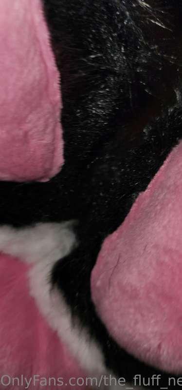 the_fluff_nextdoor image #10