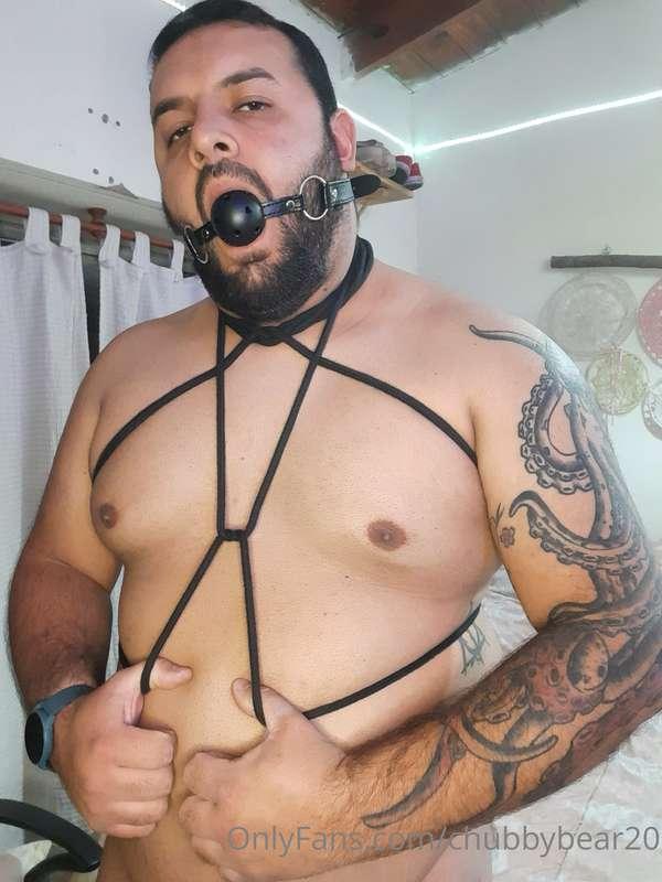 chubbybear20 image #1