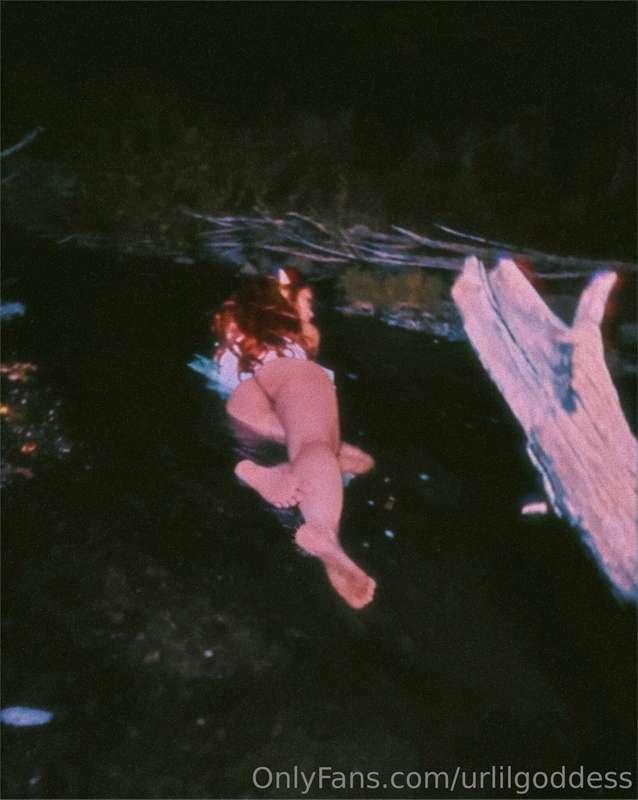 Photo evidence of the elusive Woodland Fairy