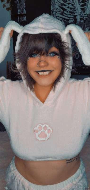 coophound image #6