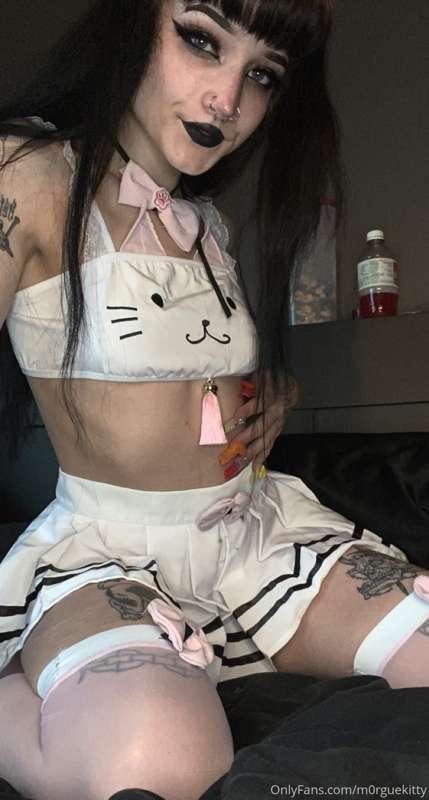 kitty outfittt 😽