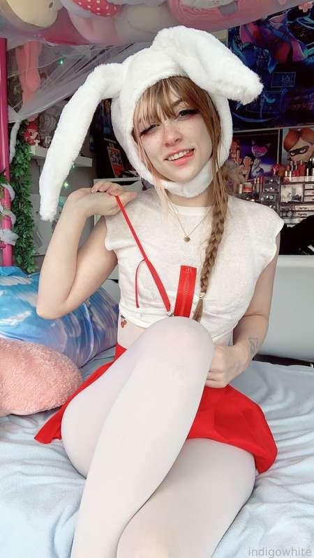 indigowhite image #122