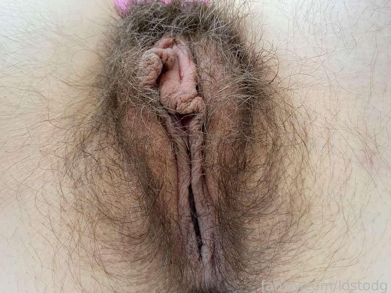 lostodg image #1