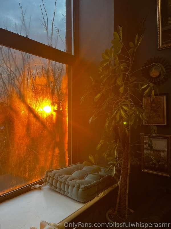 blissfulwhisperasmr main image