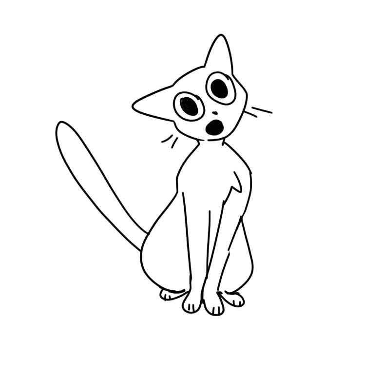 cat when you come home