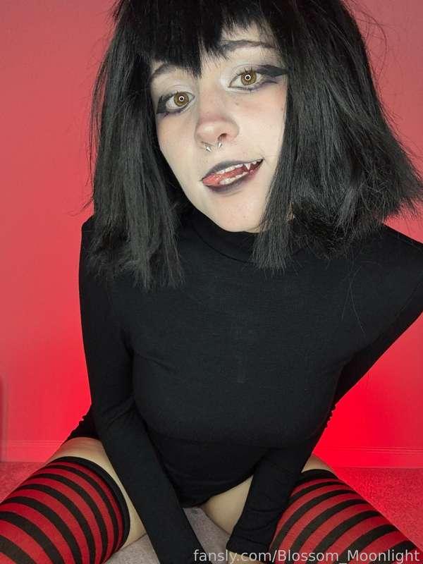 blossom_moonlight image #1