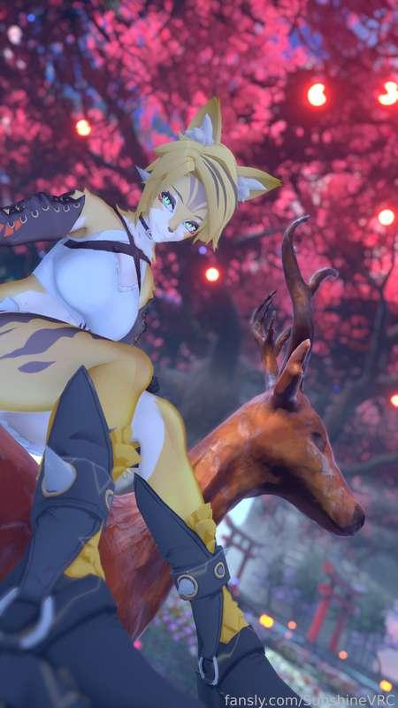 sunshinevrc image #16