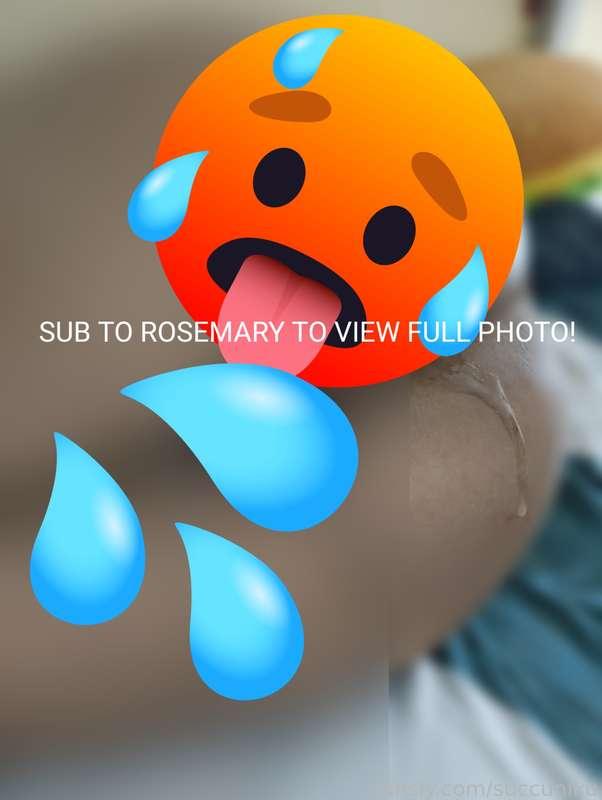succuniku image #3