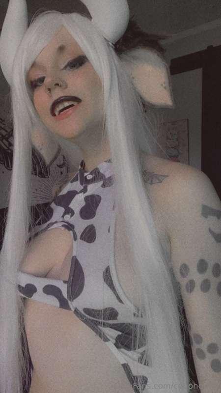 coophound image #5