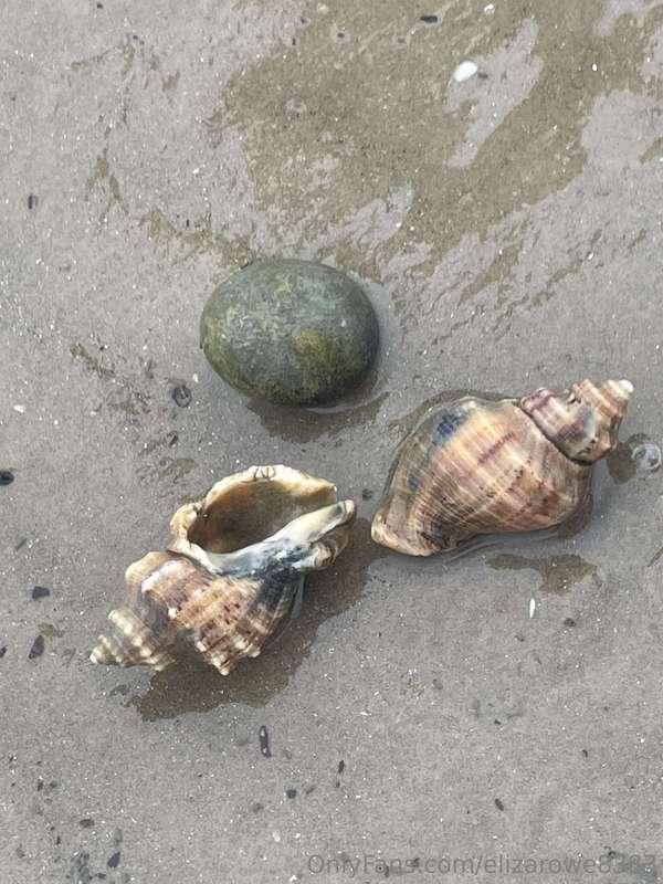 I bought one! Can’t wait to get and set up its enclosure😊