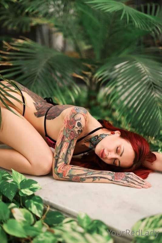 yourredlady main image