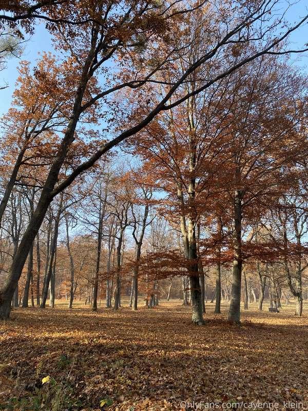 cayenne_klein_ image #15