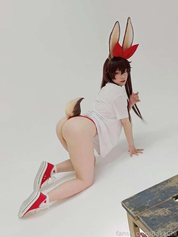 The Easter Bunny has already come to you 😋💕

#fyp #cosplay #bunny #ass #thighs