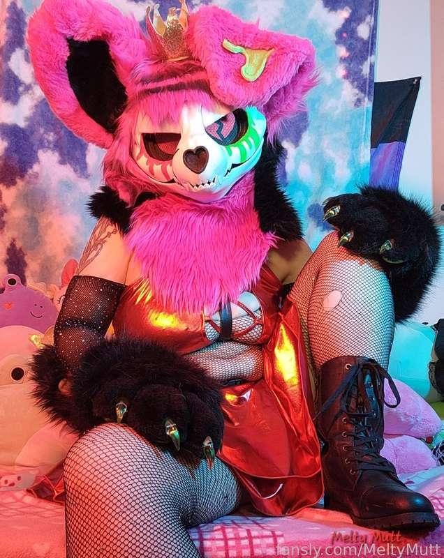 You found Melty in a rather grouchy mood, you better be careful around him🔥

#furry #fursuit #murrsuit #murrsuiter #photos #pics #dommy #boots #bootworship #nonbinary 