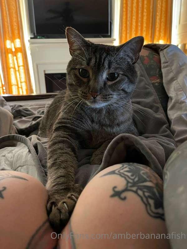 I love my kitty. Keeping me company on a lazy Sunday 🖤