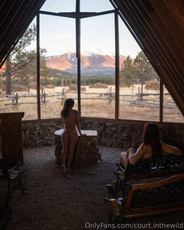 court.inthewild image #8