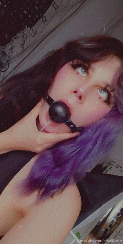 🌸Gagged kittn hmpf🌸