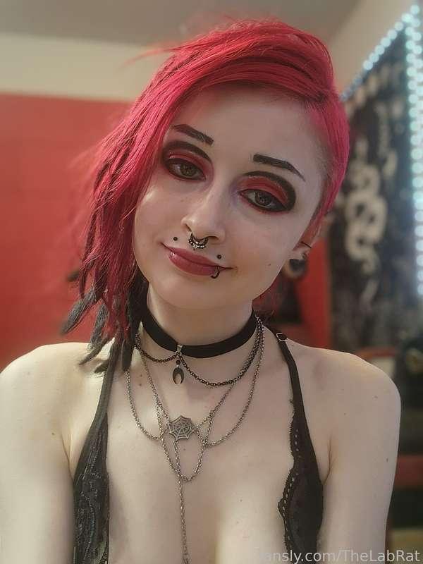 thelabrat image #4