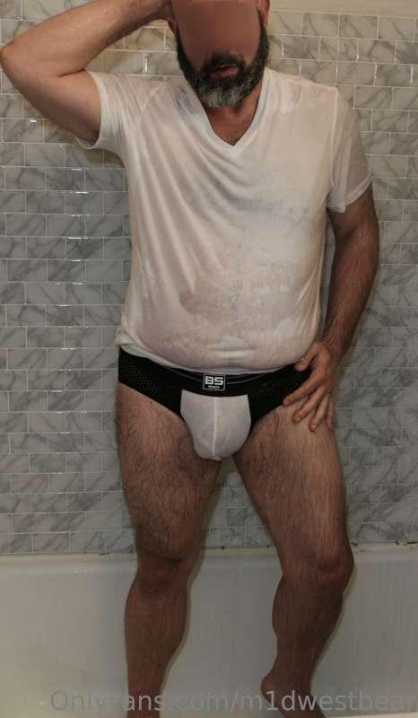 m1dwestbear image #3