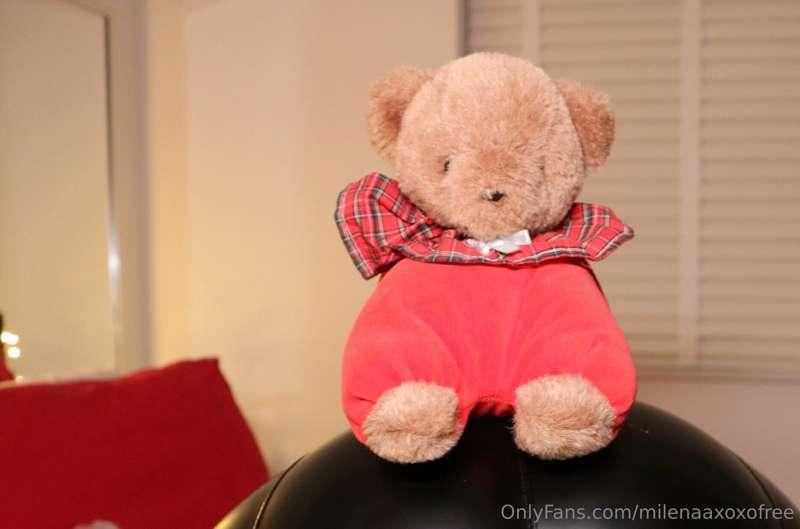 Zie je waar de Teddybeer op zit? 🙄

Can you see what the Ted..