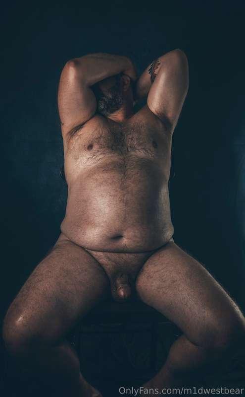 m1dwestbear image #17