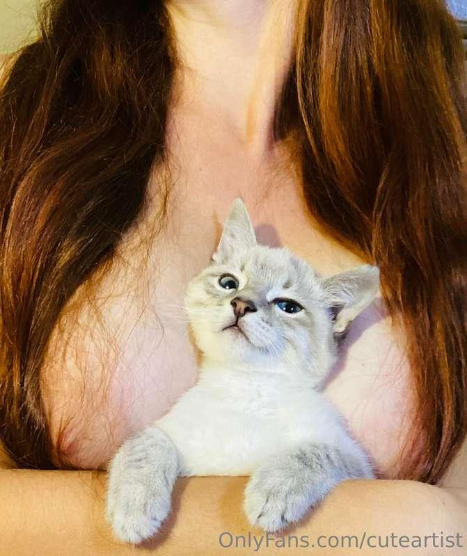 Do you want to be my cat?