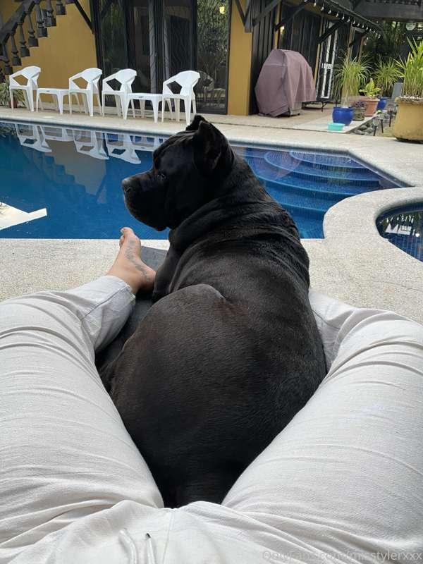 Everyone has been asking about Shiva, she’s doing sooo good!..