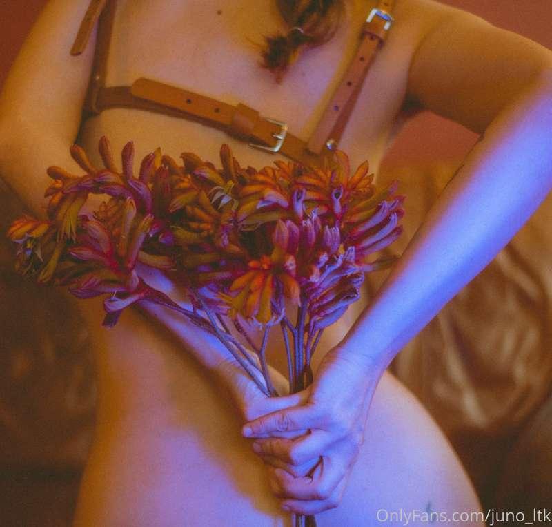 juno_ltk image #1