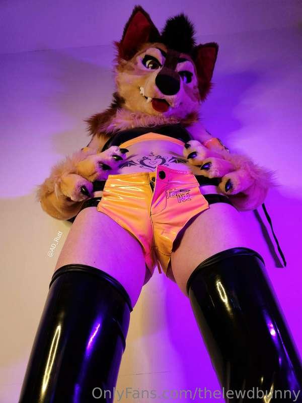 ad_rutt image #6
