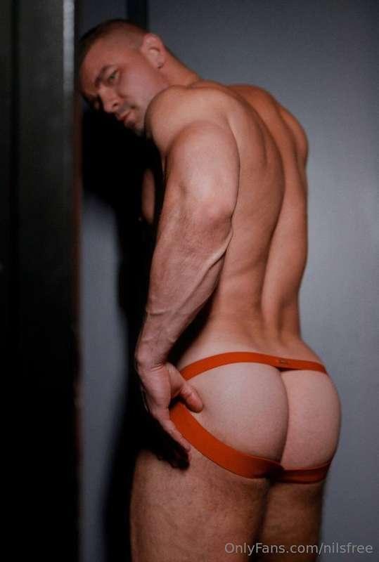 nilsfree image #6