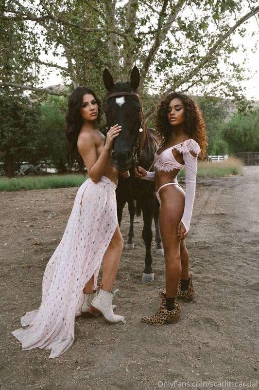 trying to find a cowboy 🤠
