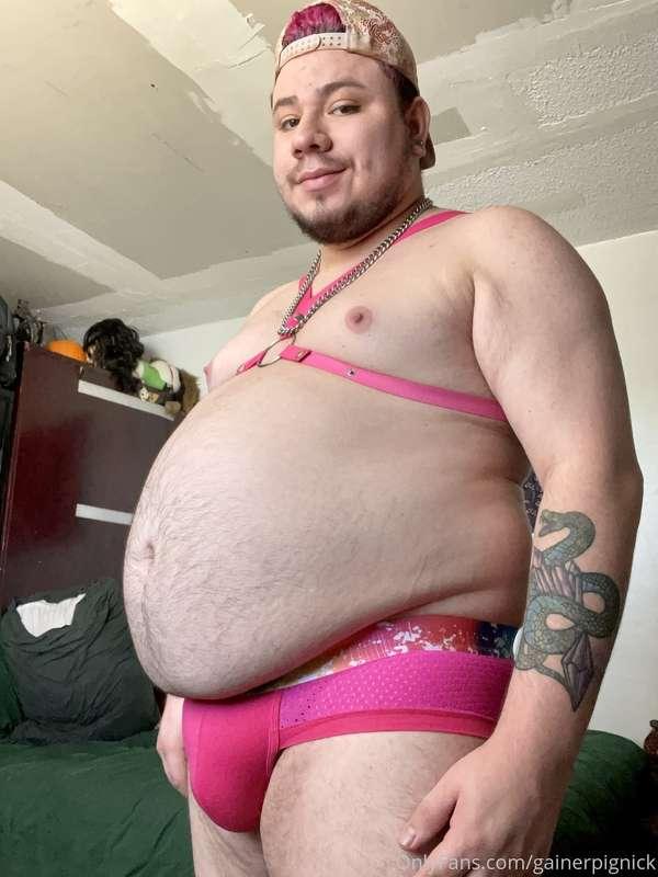 Pink Pig🐷