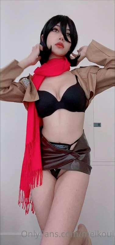 meikoui image #2