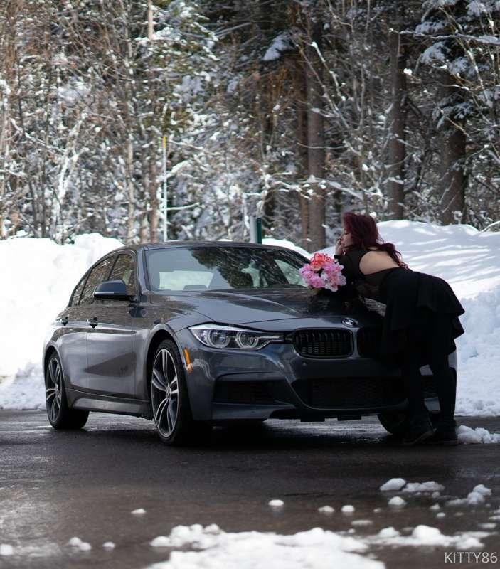 duchess_kitten image #6