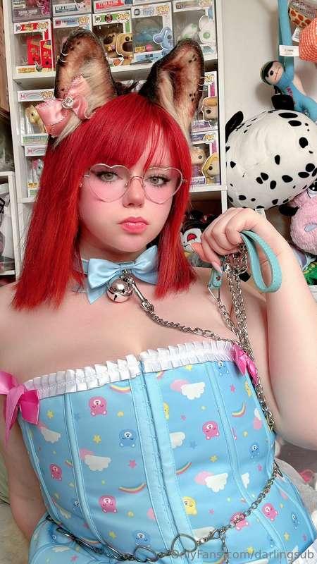 Guess which pup is back??? And looking cuter than EVER in th..