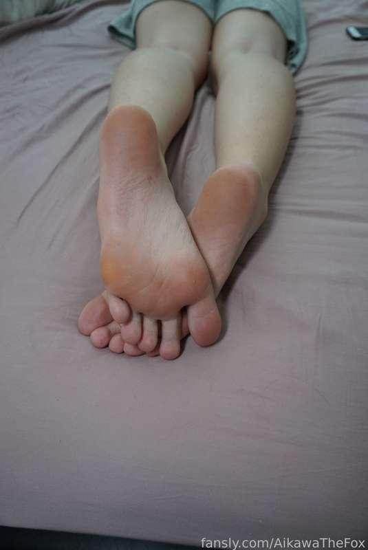 aikawathefox image #9