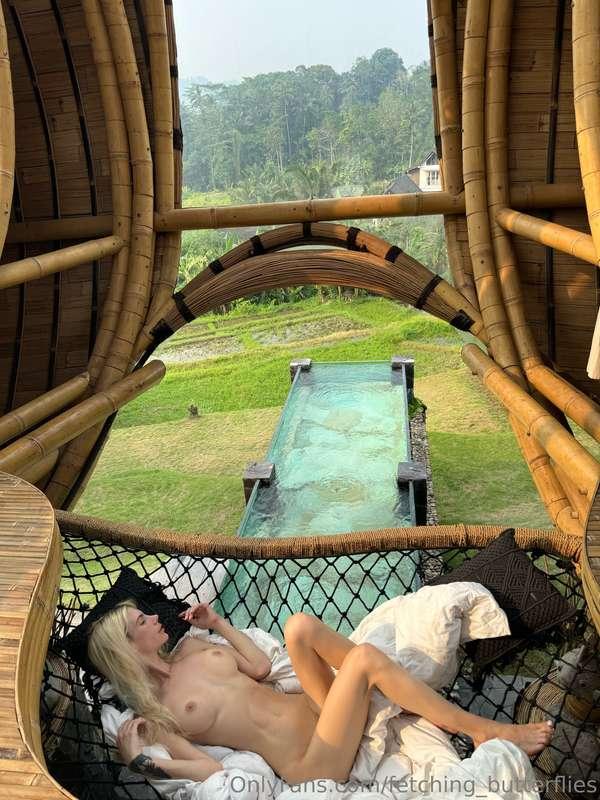 fetching_butterflies image #0