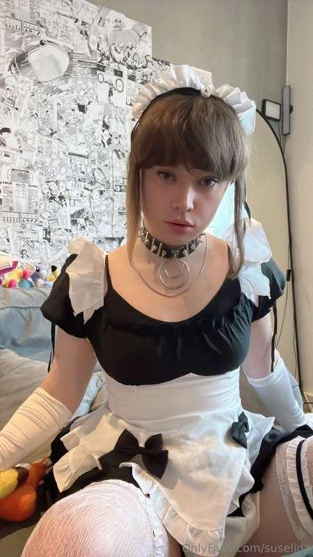 suselida image #12